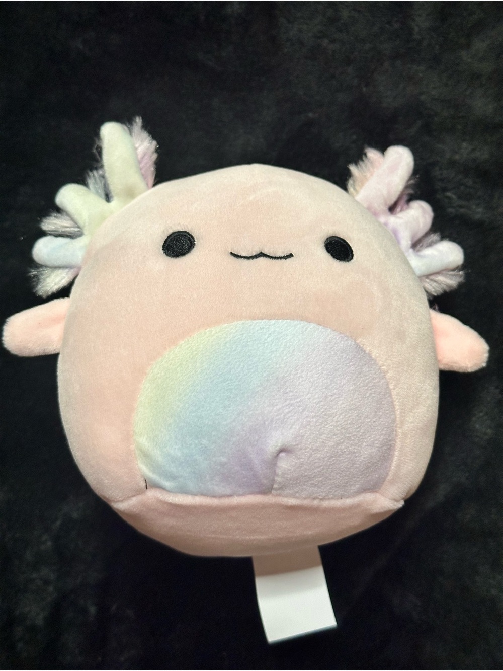 Squishmallows Axolotl Plush Bundle Small  Pink Blue Orange Stuffed Set of 3 - Picture 6 of 9